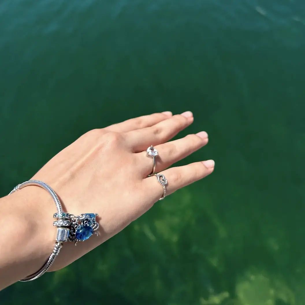 Anillos