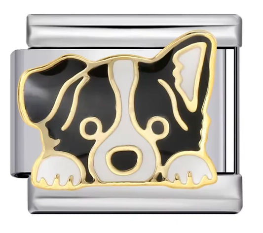Charm Italiano Perro Border Collie